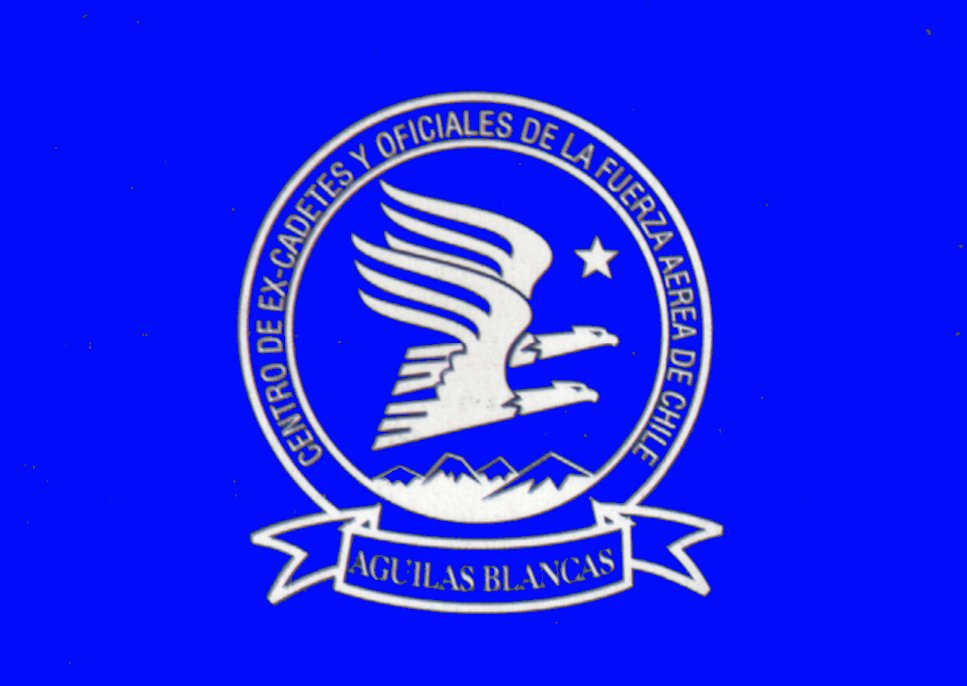 aguilasblancas.jpg (66714 bytes)